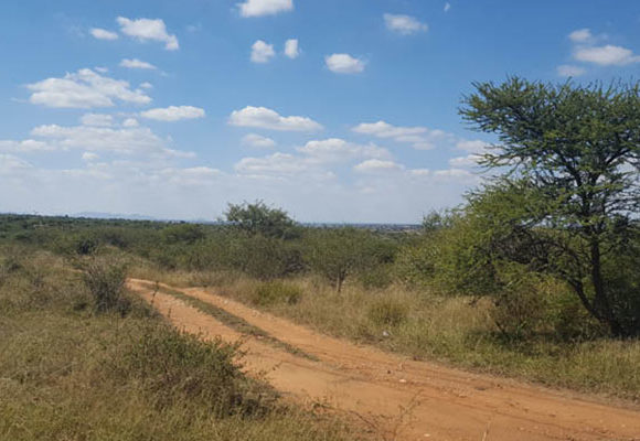 Polokwane Extension 134 township establishment